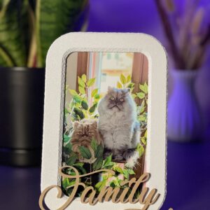 Cornice personalizzata con scritta stile Family