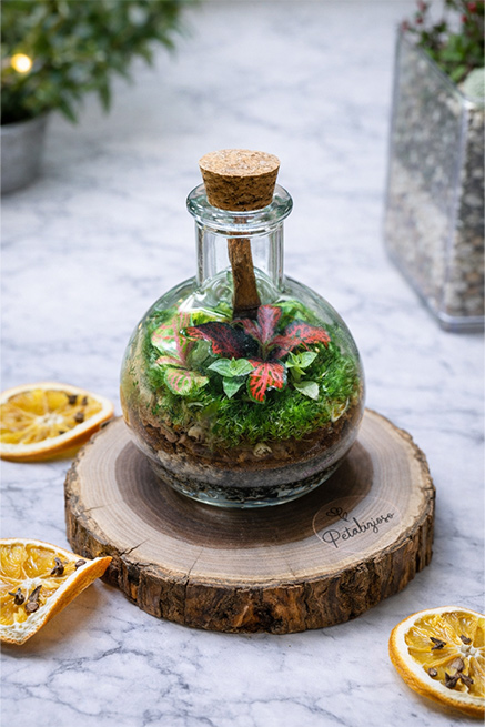 🌿 Terrario in bottiglia con base in vero tronco 4 🌿 Terrario in bottiglia con base in vero tronco - immagine 4