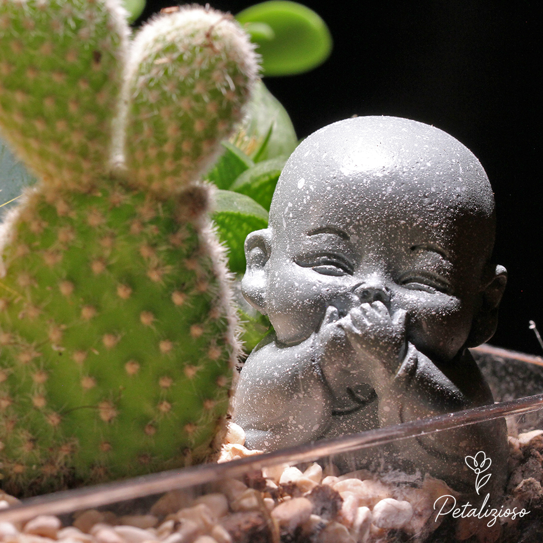 Terrario con piante grasse e statuina Buddha 2 Terrario con piante grasse e statuina Buddha - immagine 2