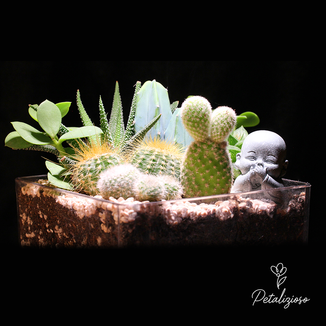 Terrario con piante grasse e statuina Buddha 5 Terrario con piante grasse e statuina Buddha - immagine 5